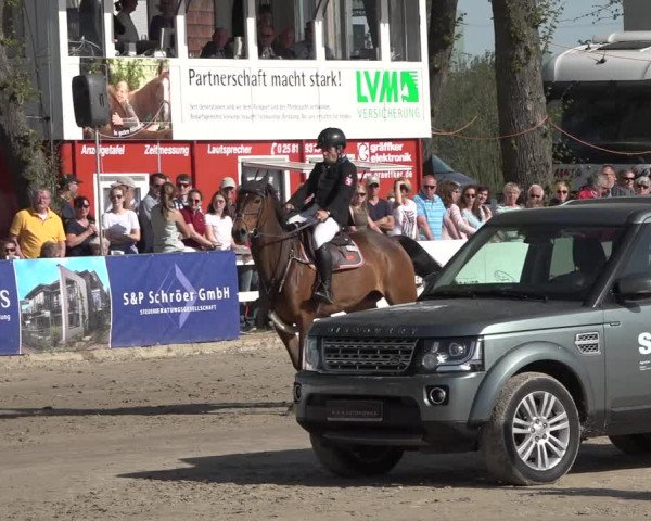 Lenklarer Reitertage 2019