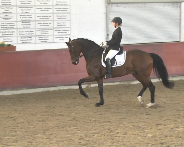 Reitturnier Neunkirchen-Furpach 2019