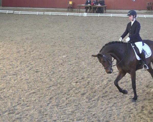 Reitturnier Neunkirchen-Furpach 2019
