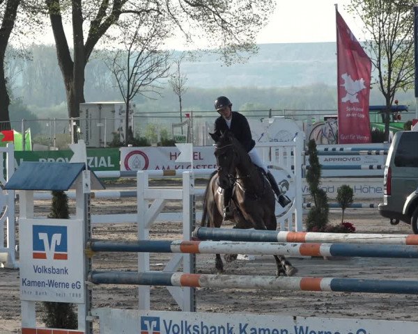 Reitturnier Werne-Lenklar 2019