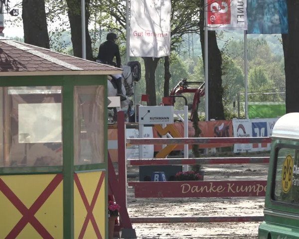 Lenklarer Reitertage 2019