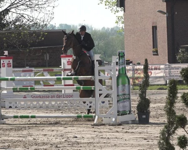 Lenklarer Reitertage 2019