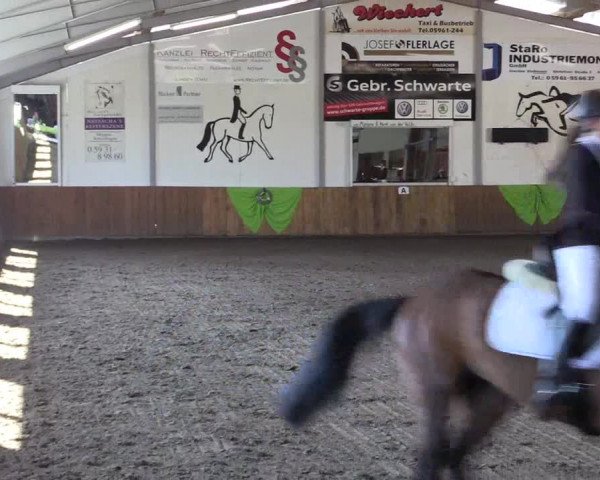 Dohrener Pferdetage 2019