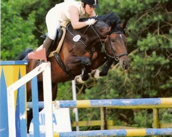 horse Coelha (Rhinelander, 2003, from Collin L) horse Coelha (Rhinelander, 2003, from Collin L)