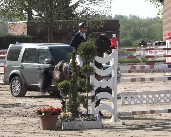 Reitturnier Werne-Lenklar 2019