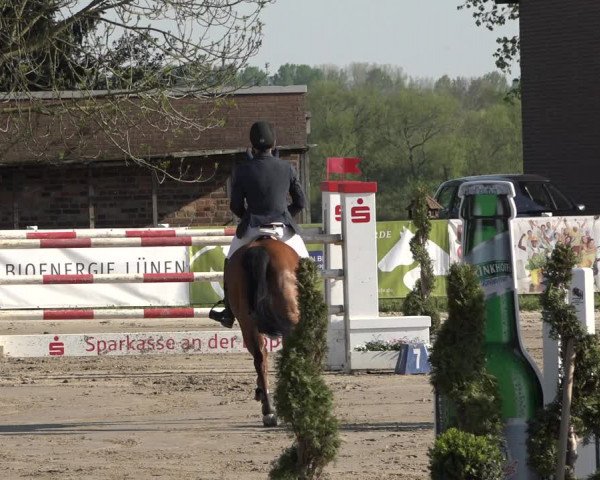 Lenklarer Reitertage 2019