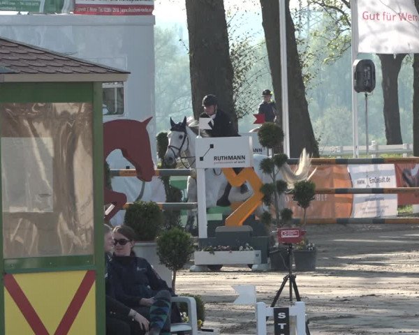 Lenklarer Reitertage 2019