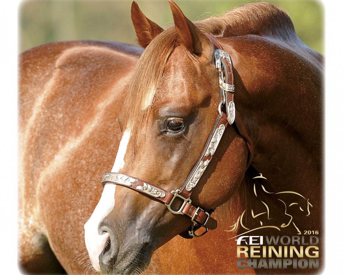 stallion Smart N Sparkin (Quarter Horse, 2008, from Smart Chic Olena)