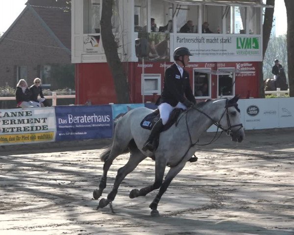 Reitturnier Werne-Lenklar 2019
