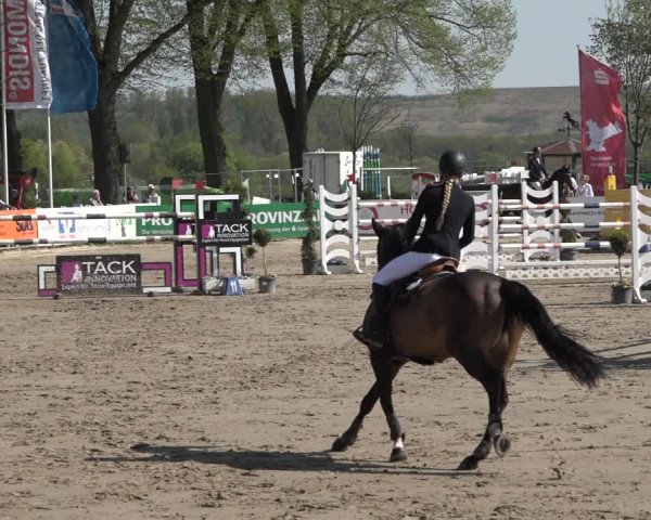 Reitturnier Werne-Lenklar 2019