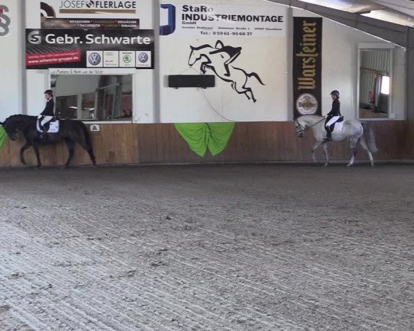 Dohrener Pferdetage 2019