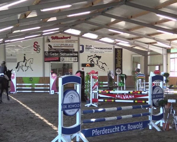 Dohrener Pferdetage 2019