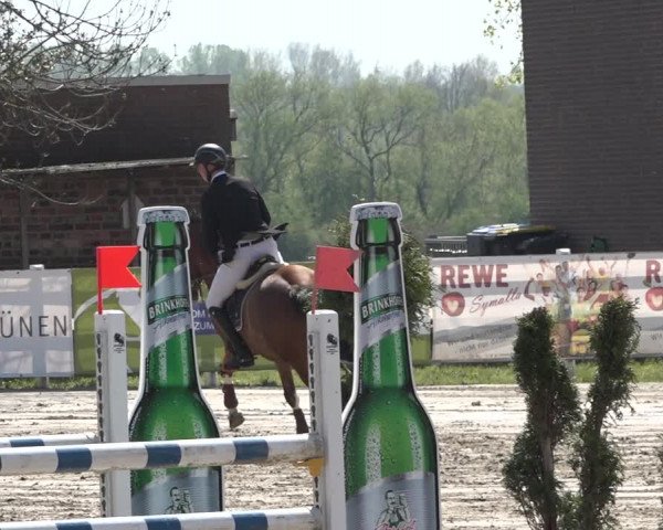 Reitturnier Werne-Lenklar 2019