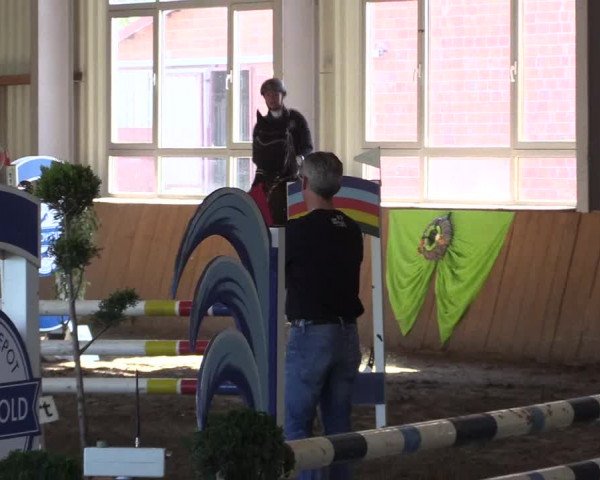 Dohrener Pferdetage 2019