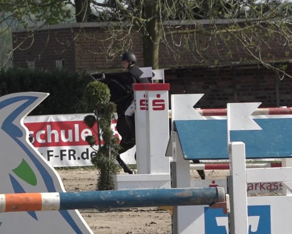 Lenklarer Reitertage 2019
