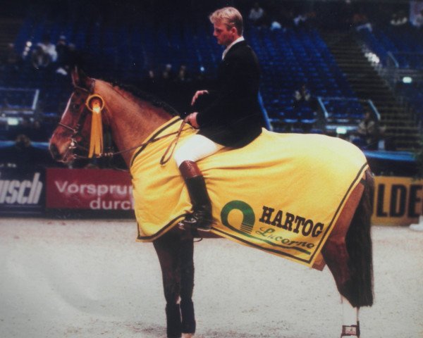 Springpferd Antares (Mecklenburger, 1995, von Adriano 3397)