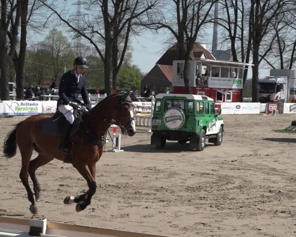 Reitturnier Werne-Lenklar 2019