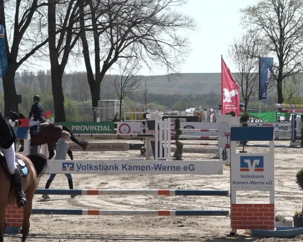 Lenklarer Reitertage 2019