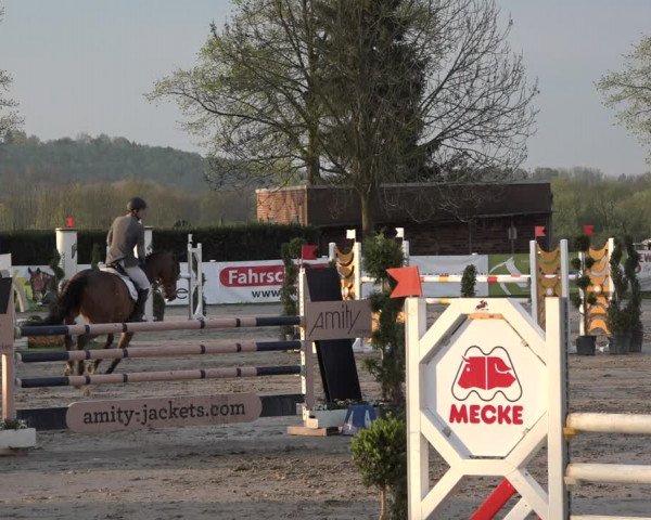 Reitturnier Werne-Lenklar 2019