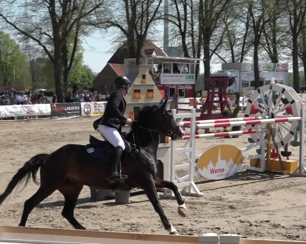 Reitturnier Werne-Lenklar 2019