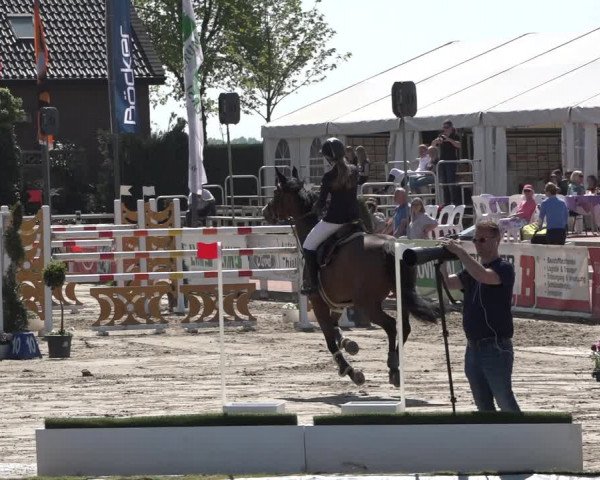 Reitturnier Werne-Lenklar 2019