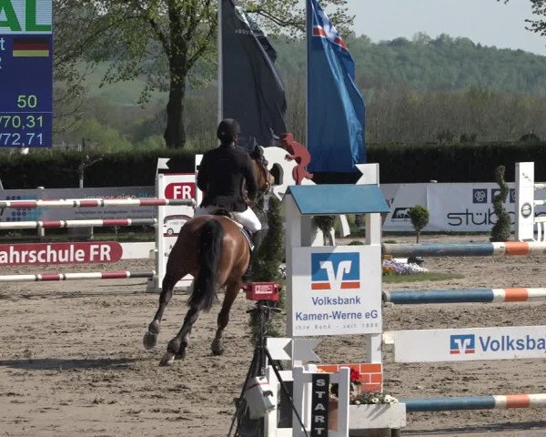 Lenklarer Reitertage 2019
