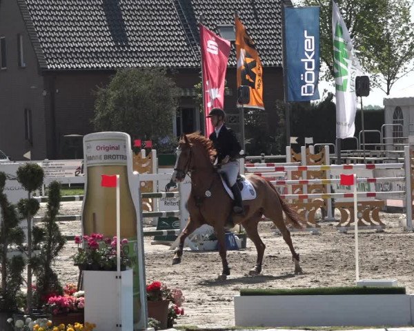 Lenklarer Reitertage 2019