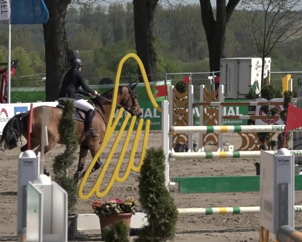 Reitturnier Werne-Lenklar 2019