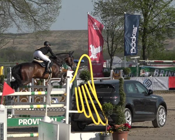 Reitturnier Werne-Lenklar 2019