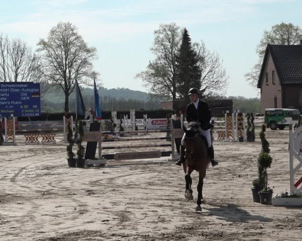 Reitturnier Werne-Lenklar 2019