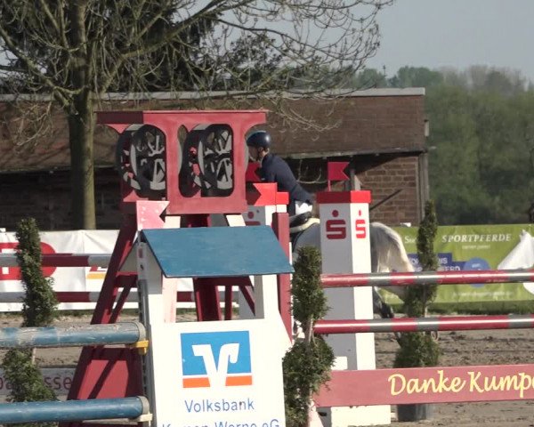 Lenklarer Reitertage 2019