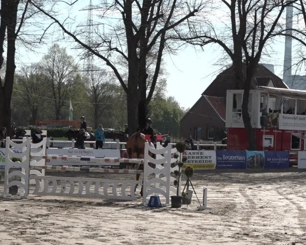 Lenklarer Reitertage 2019