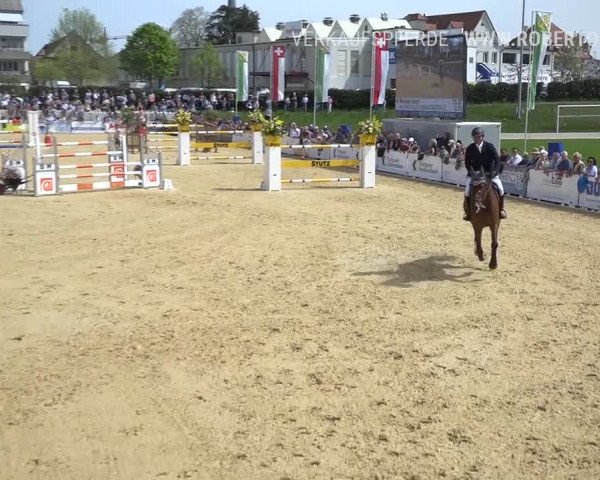 Osterspringen Amriswil 2019
