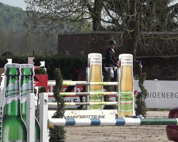 Lenklarer Reitertage 2019