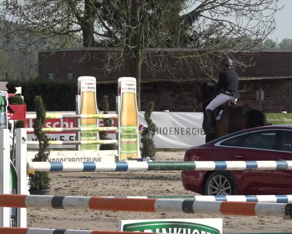 Lenklarer Reitertage 2019