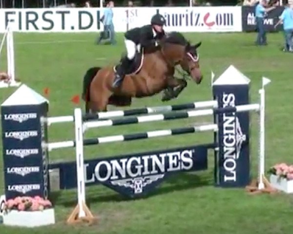 Springpferd Richebourg du Jusclay (Selle Français, 2005, von L'Arc de Triomphe)
