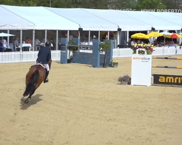 Osterspringen Amriswil 2019