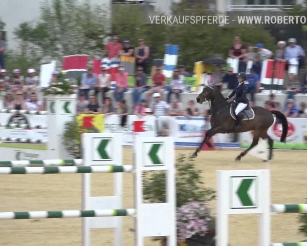 Osterspringen Amriswil 2019