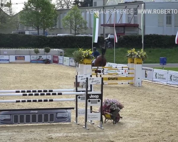 Osterspringen Amriswil 2019