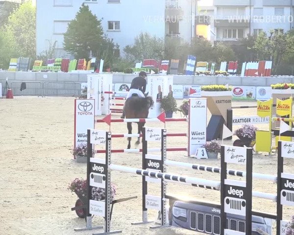 Osterspringen Amriswil 2019