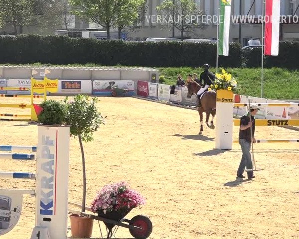 Osterspringen Amriswil 2019
