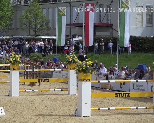 Osterspringen Amriswil 2019