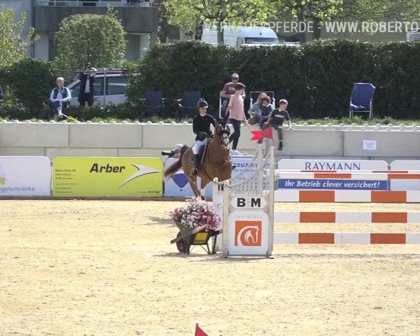 Osterspringen Amriswil 2019