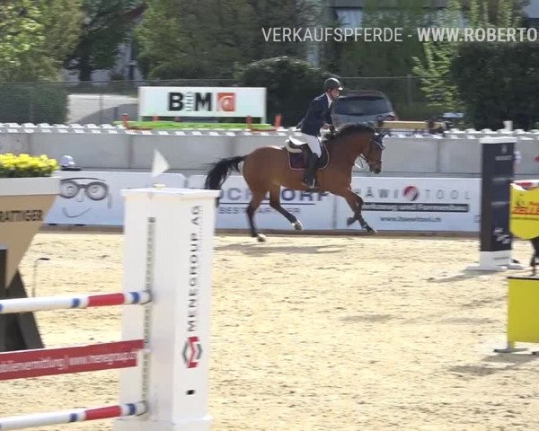 Osterspringen Amriswil 2019