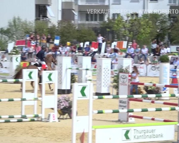 Osterspringen Amriswil 2019