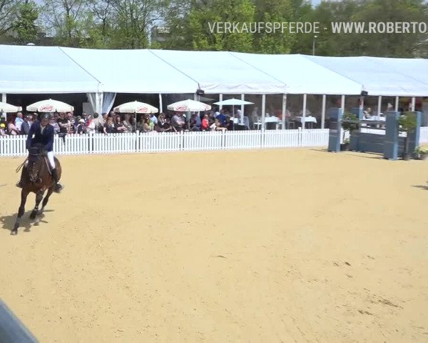 Osterspringen Amriswil 2019