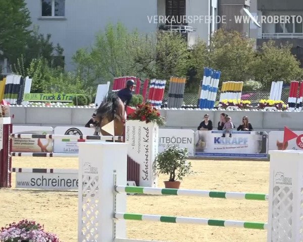 Osterspringen Amriswil 2019