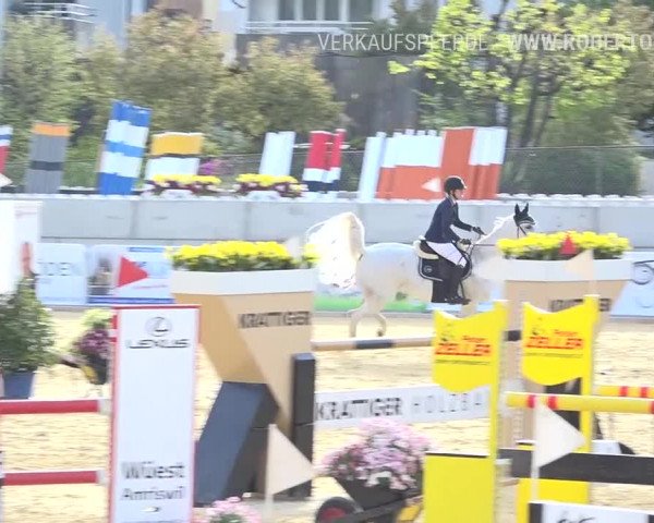 Osterspringen Amriswil 2019