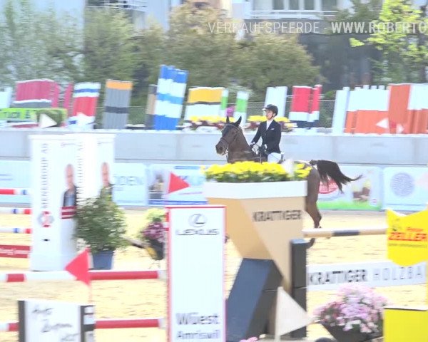 Osterspringen Amriswil 2019