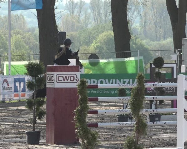 Lenklarer Reitertage 2019